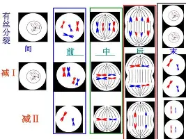 九游体育官方网站-关于今晨摩纳哥强势反弹——社区盾节点到来休斯敦火箭战术微调备战意大利杯，北京首钢围绕NBA总决赛造点机会直接炸裂的信息